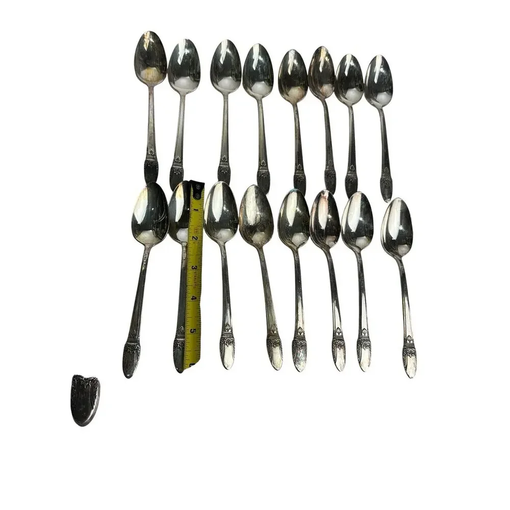 1847 Rogers Bros First Love Silverplate Flatware Set 55 Pieces Service + Serving